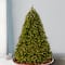 7.5ft. Pre-Lit PowerConnect™ Deluxe Downswept Douglas® Fir Artificial Christmas Tree, Dual Color® LED Lights